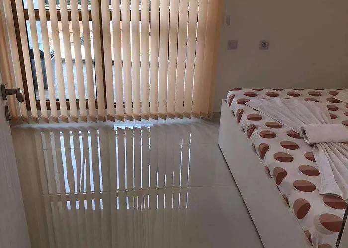 Blue Magenta 1 Daire